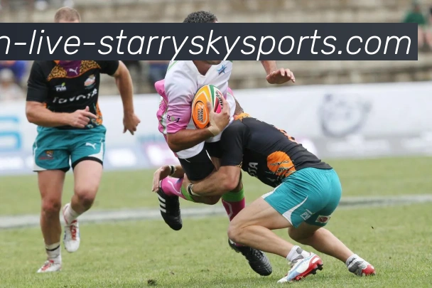 星空体育品牌故事