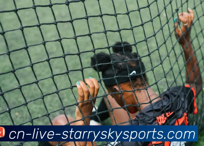 星空体育服务体系